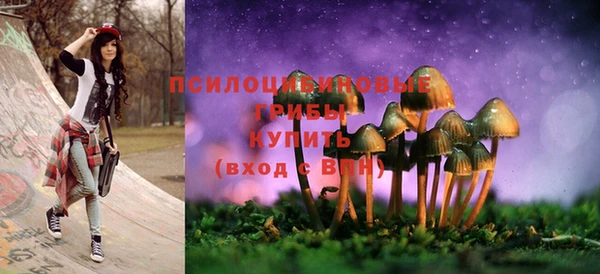 прущие грибы Арсеньев